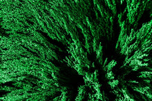 Load image into Gallery viewer, Spirulina Powder, Organic