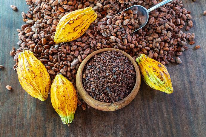 Cacao Nibs - What Are They Really? - Uses and Benefits