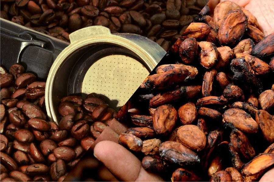 HOW TO BREW COFFEE-CACAO